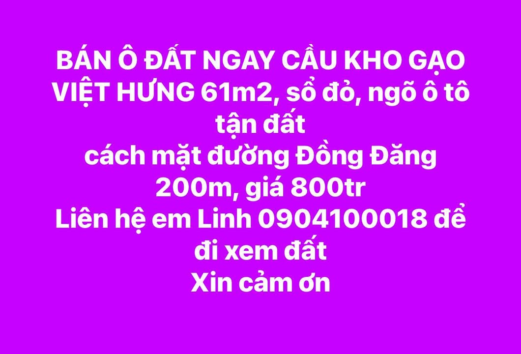 Đất nền Việt Hưng Hạ Long 61m² giá 800 triệu - Ô tô vào tận đất!