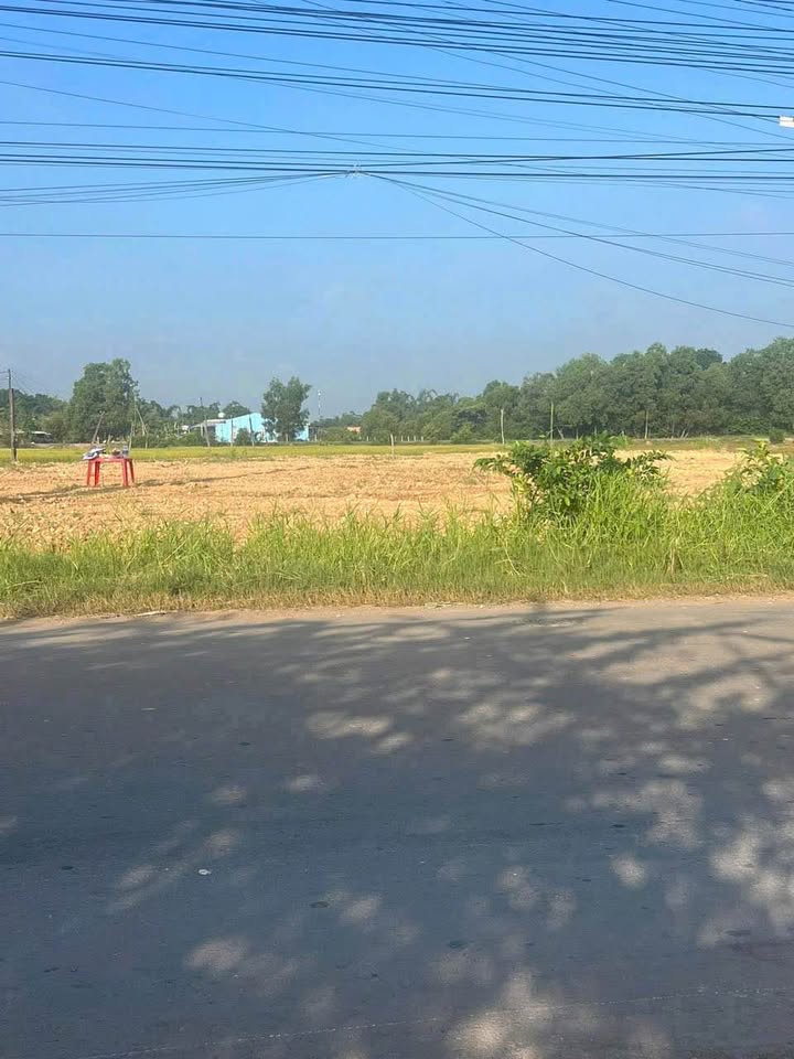 Đất mặt tiền tỉnh lộ 825 Hiệp Hòa 1.140m² - Đối diện trường cấp 2!