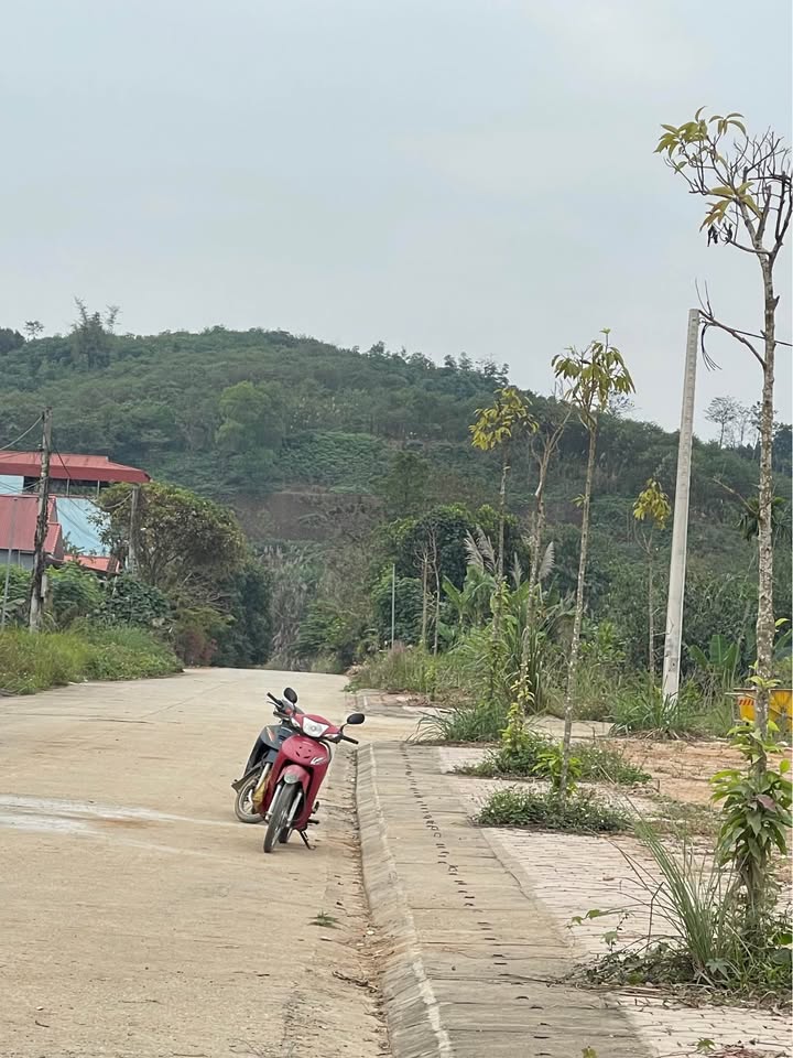 Đất nền TĐC Trường Y Giới Phiên 100m² giá 1.3 tỷ - Cơ hội đầu tư tuyệt vời!