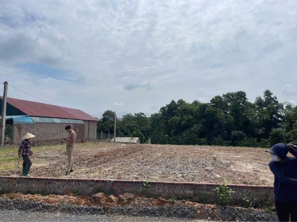 Đất nền Cẩm Lĩnh, Ba Vì 2000m² giá 6 tỷ - Thích hợp nghỉ dưỡng