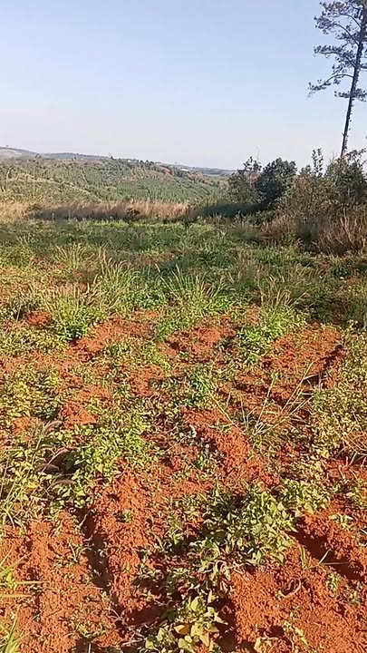 Đất nền Đắk R'Tih 15000m² giá 1.15 tỷ - Cơ hội đầu tư tuyệt vời!