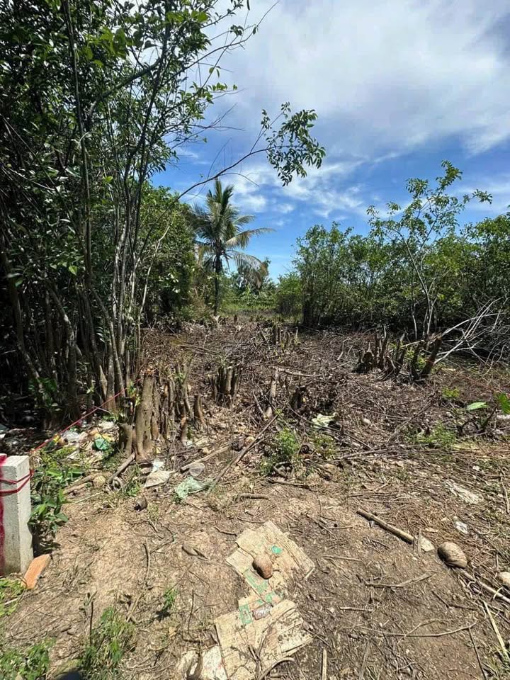 Lô đất thổ cư tại P7, TP Tân An, Long An 257.5m² giá 780 triệu - Đầu tư sinh lời lý tưởng!