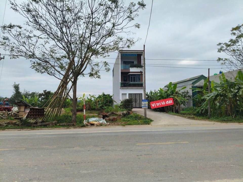 Đất mặt tiền QL 47, xã Dân Lực, 100m² - Đầu tư sinh lời ngay!