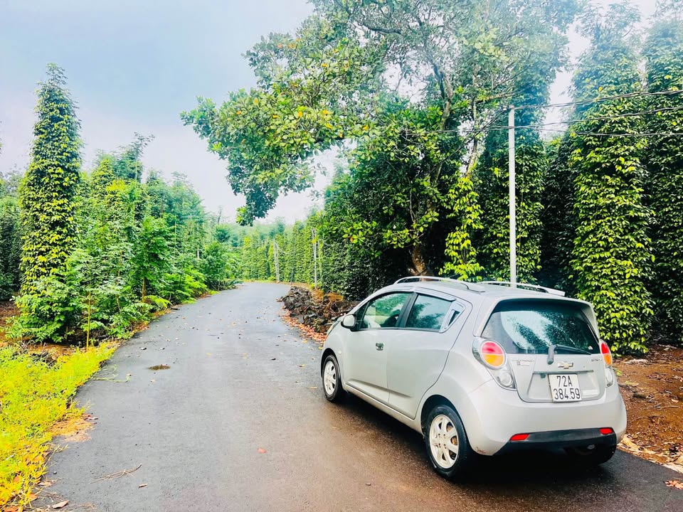 Đất Bàu Lâm, Xuyên Mộc 1000m² - Cơ hội đầu tư hấp dẫn!