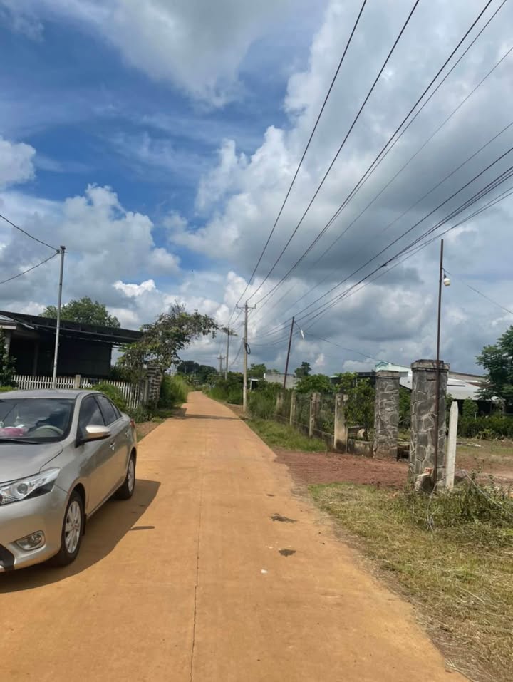 Đất Farm 2988m² Mặt Tiền Đường Mã Vôi, Bảo Hoà Giá 2.2 Tỷ - Tiềm Năng Đầu Tư Cao!