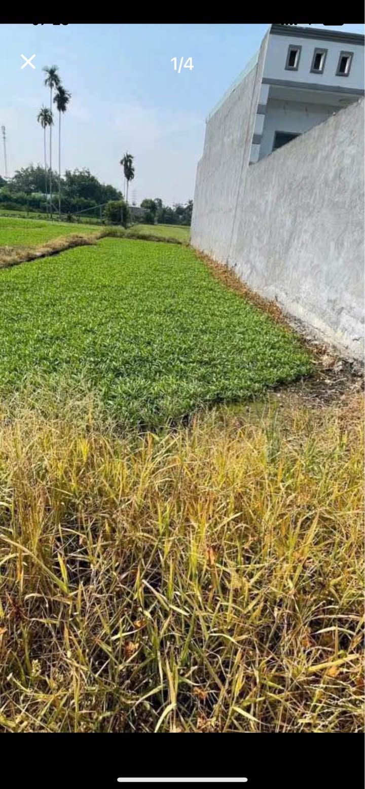 Đất nền Củ Chi 156m² giá 2.1 tỷ - Sổ đỏ chính chủ, khu dân cư tự do