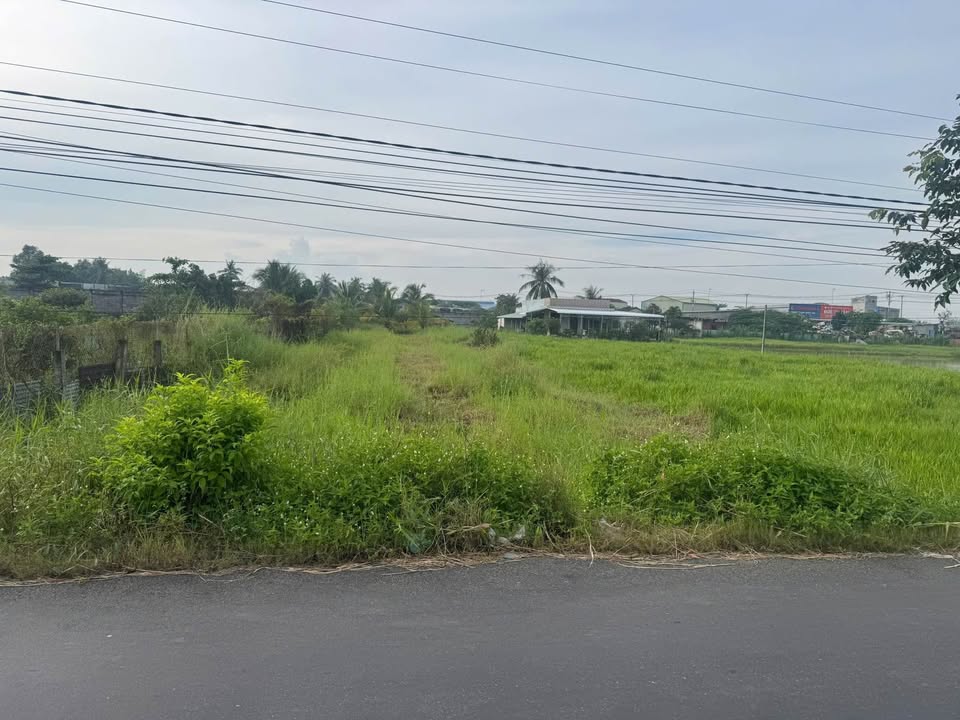 Đất nền 979m² mặt tiền đường Mai Bá Hương, Tân An - Giá chỉ 3.1 tỷ!