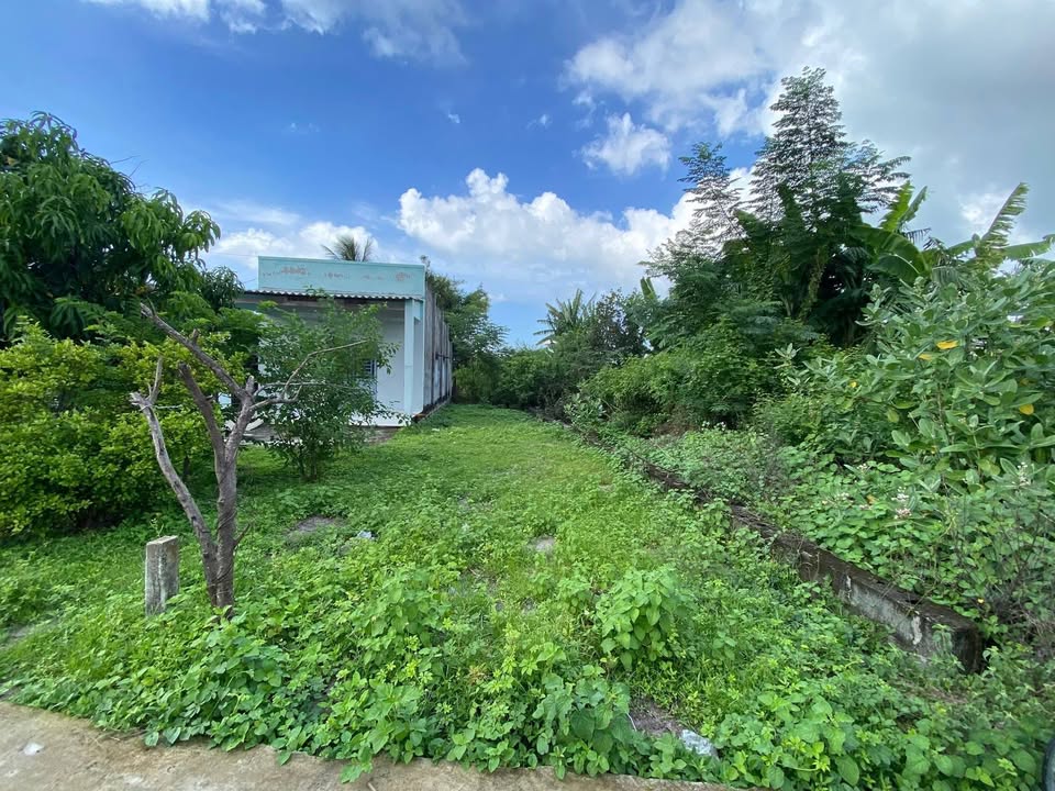 Đất nền thổ cư 350m² tại Tôn Đức Thắng, Phước Hội - Giá chỉ 1.45 tỷ - Thương lượng ngay!