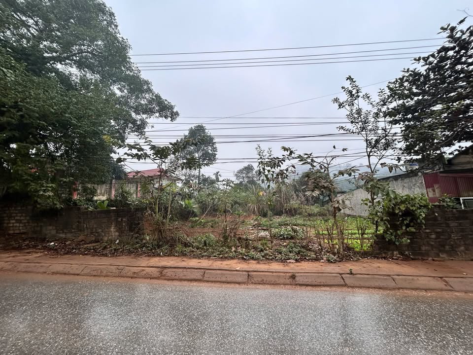 Đất thổ cư Minh Bảo, Yên Bái 390m² giá 1 tỷ - Vị trí đắc địa, đầu tư sinh lời!