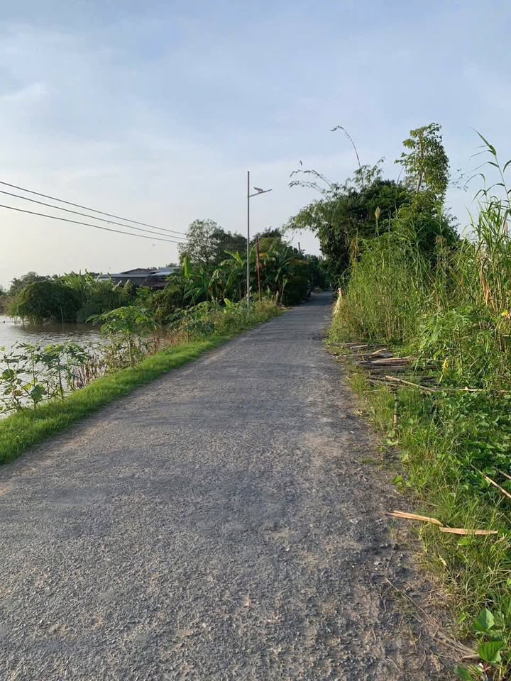 Đất ruộng Vĩnh Chánh, An Giang 5000m² - Giá tốt chỉ 500 triệu!