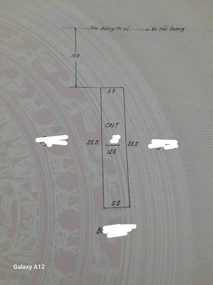 Đất mặt tiền đường 391 xã Quang Phục 125m² giá 3 tỷ - Đầu tư sinh lời ngay!