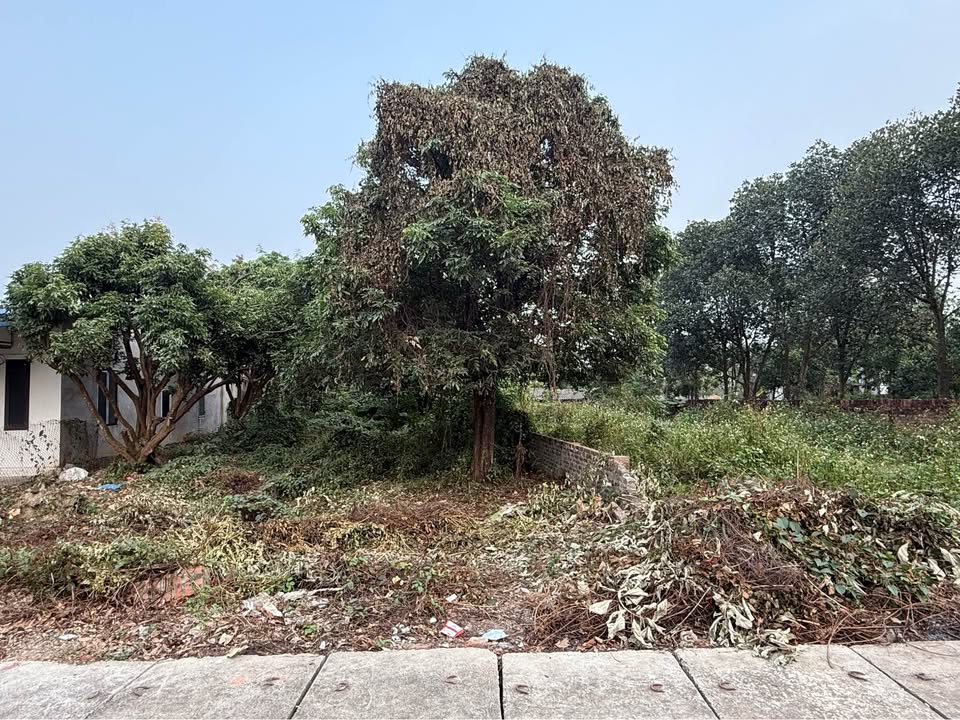 Đất nền Hợp Châu Tam Đảo 130m² giá 1 tỷ - Đầu tư sinh lời tuyệt vời!