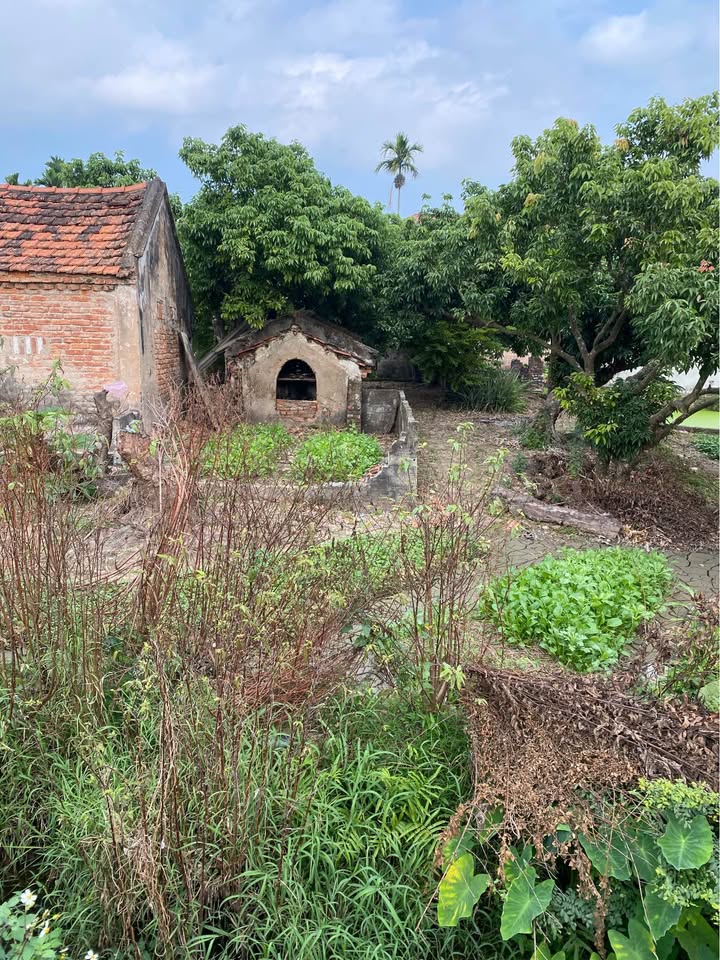 Đất nền 220m² tại Hoàng Xá 1, Hải Dương - Mặt đường rộng rãi, giá thỏa thuận!