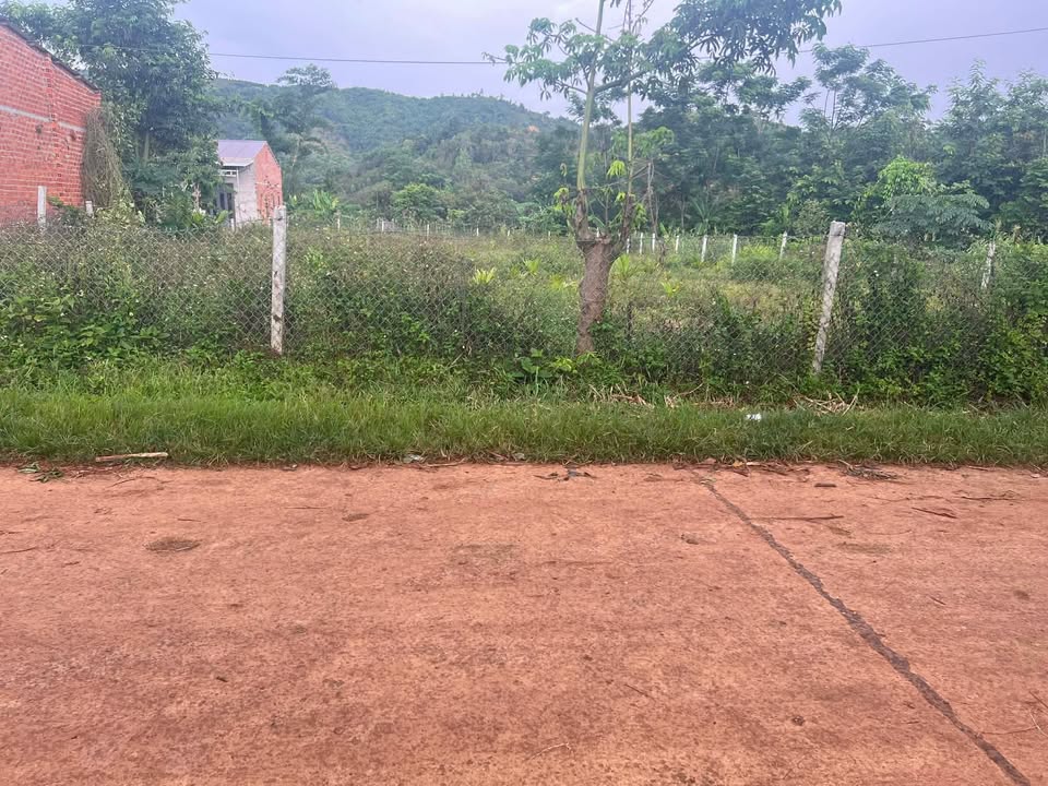 Đất thổ cư Cư Kuin 1000m² giá 1.8 tỷ - Khu dân cư đông đúc, đầu tư sinh lời!