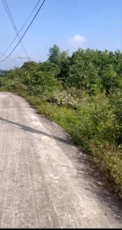 Đất nền thôn Hạnh Phúc, Nho Quan 206.28m² giá chỉ 1 tỷ - Đầu tư sinh lời ngay!