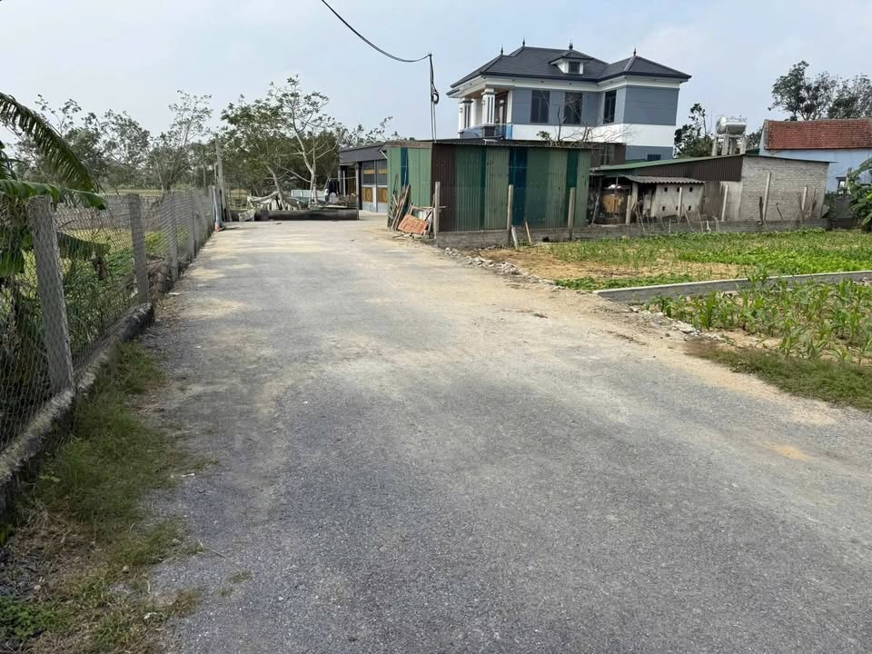 Lô đất Nghi Phong Vinh 131m² giá 3.1 tỷ - Kết nối trung tâm thuận lợi!