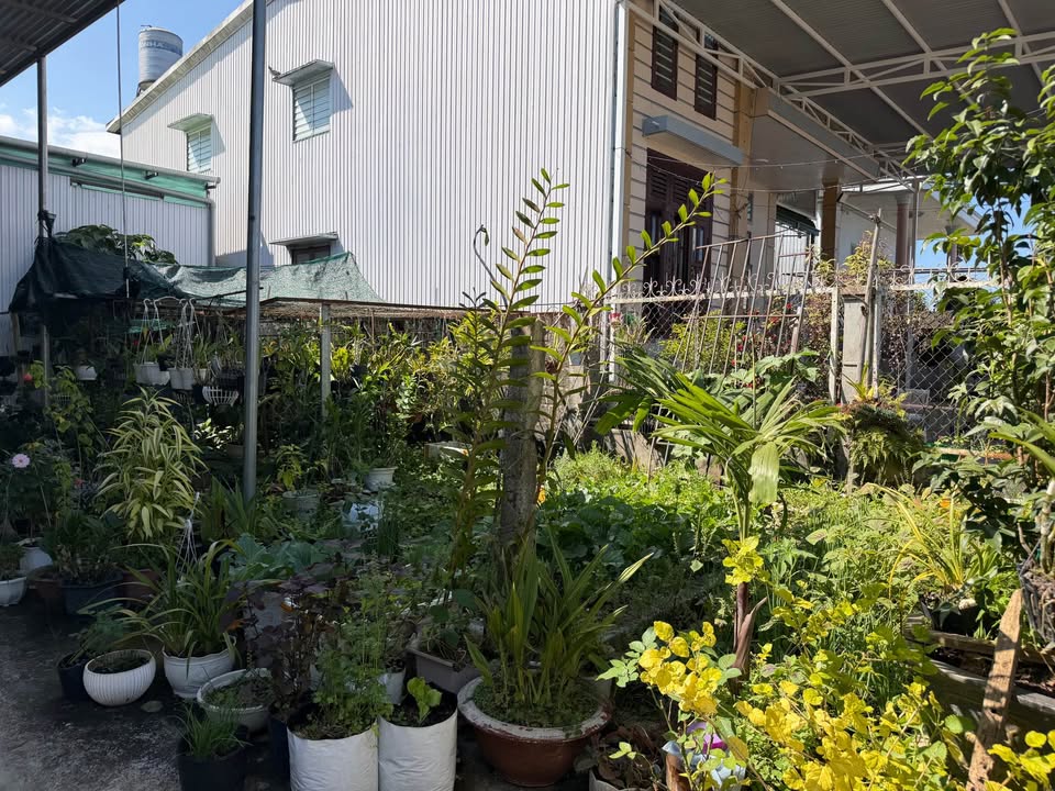 Đất nền mặt tiền Ngô Tất Tố, Lộc Châu, Bảo Lộc 945m² giá 3.5 tỷ - Đầu tư lý tưởng!