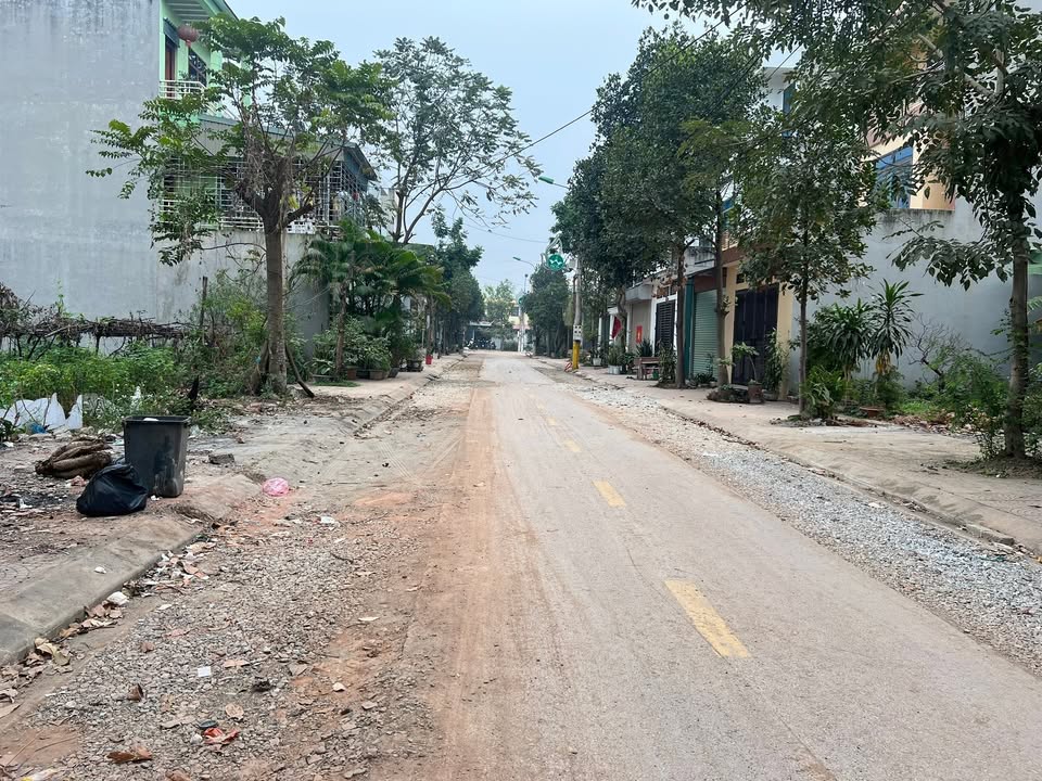 Đất nền đường An Bình, phường Hội Hợp, 100m² - Đầu tư sinh lời lý tưởng!