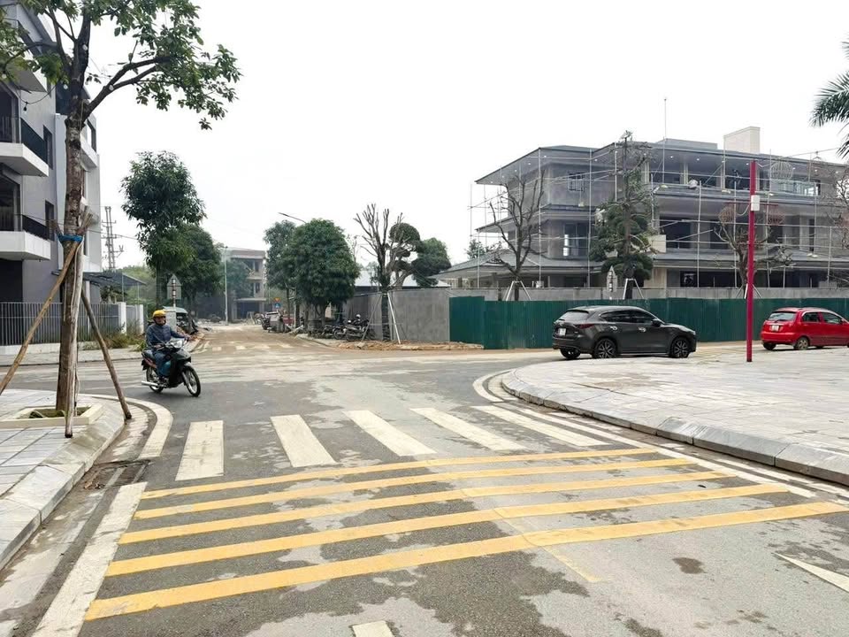 Biệt thự KĐT Lạc Ngàn Việt Trì 252m² giá 10 tỷ - Vị trí đắc địa và pháp lý rõ ràng!