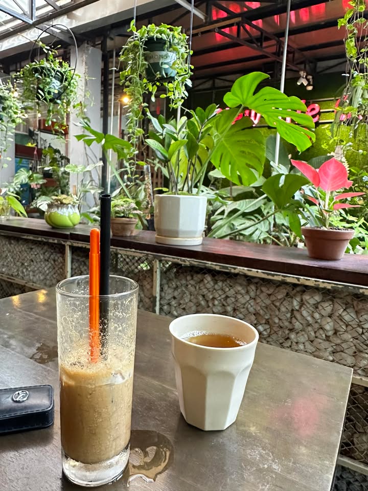 Đất nền tại xã Bình Hiệp, Tây Sơn, 280m² - Sổ hồng chính chủ, giá chỉ 600 triệu!