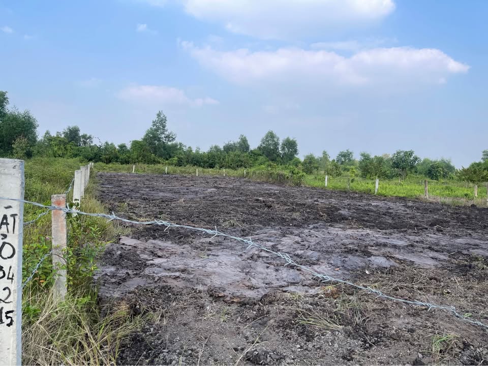 Đất nền Thạnh Hòa Bến Lức 500m² giá 390 triệu - Cơ hội đầu tư hấp dẫn!