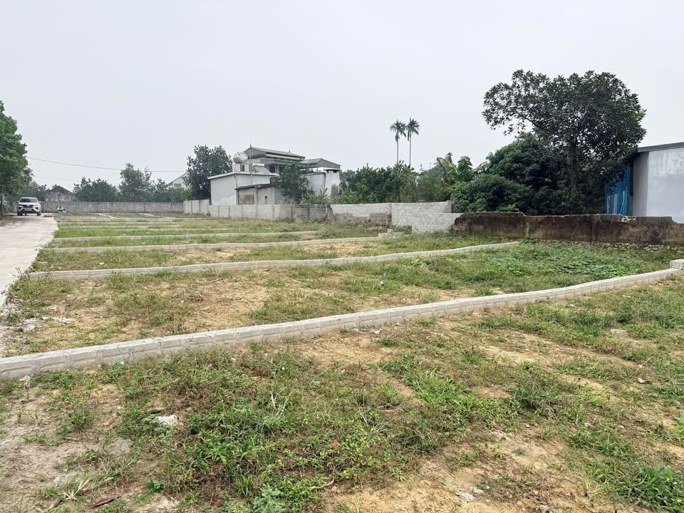 Đất nền Đồng Tâm, Lạc Thủy 84m² giá chỉ 499 triệu - Đầu tư sinh lời ngay!