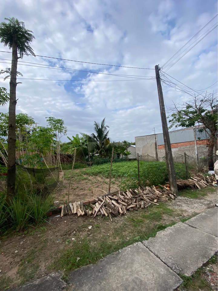 Đất nền liền kề Tân Ngãi, Vĩnh Long 195m² giá chỉ từ 630 triệu - Đầu tư sinh lời hấp dẫn!