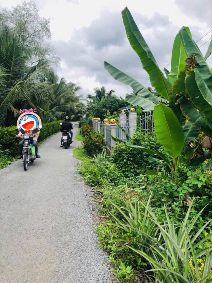 Đất nền 2 mặt đường Tân Long Hội, Vĩnh Long 110m² giá 320 triệu - Cơ hội đầu tư hấp dẫn!