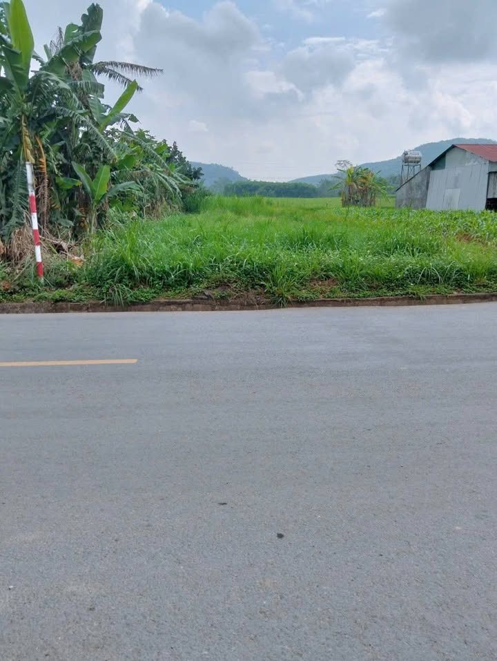 Đất nền Nghĩa Minh Nghĩa Đàn 178m² giá 1.3 tỷ - Đường nhựa 15A, đầu tư sinh lời!