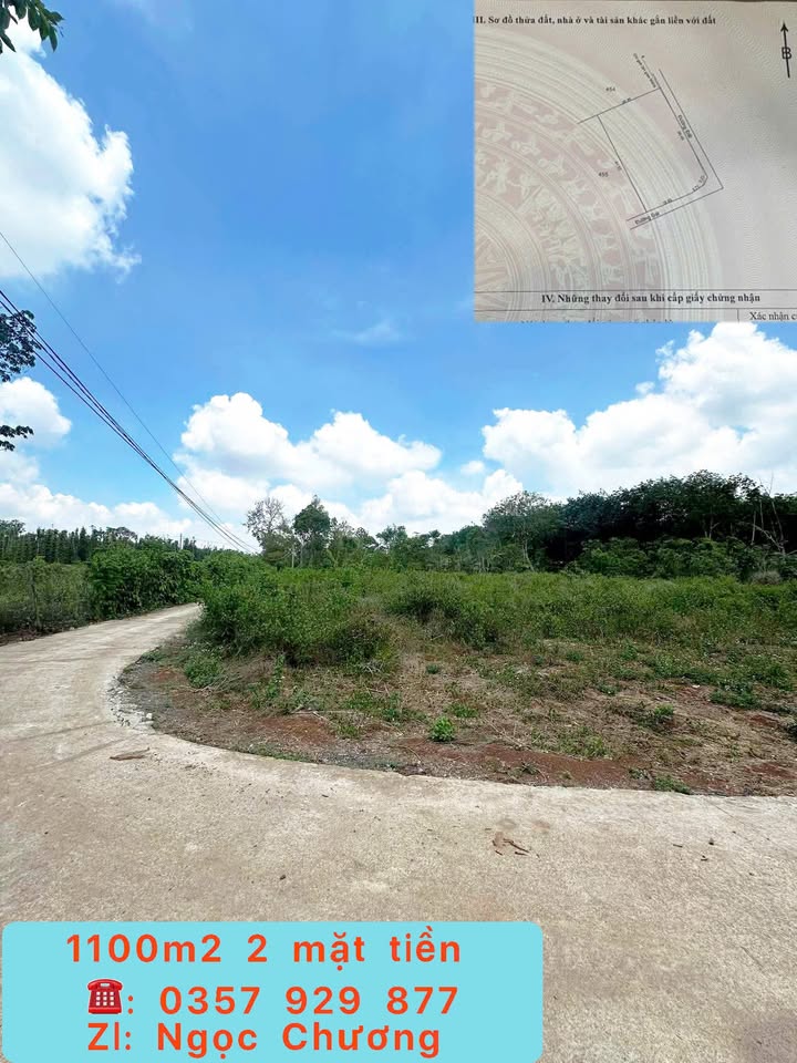 Đất nền Bàu Chinh, Châu Đức 912m² giá 1.4 tỷ - Sổ hồng riêng, đầu tư sinh lời!