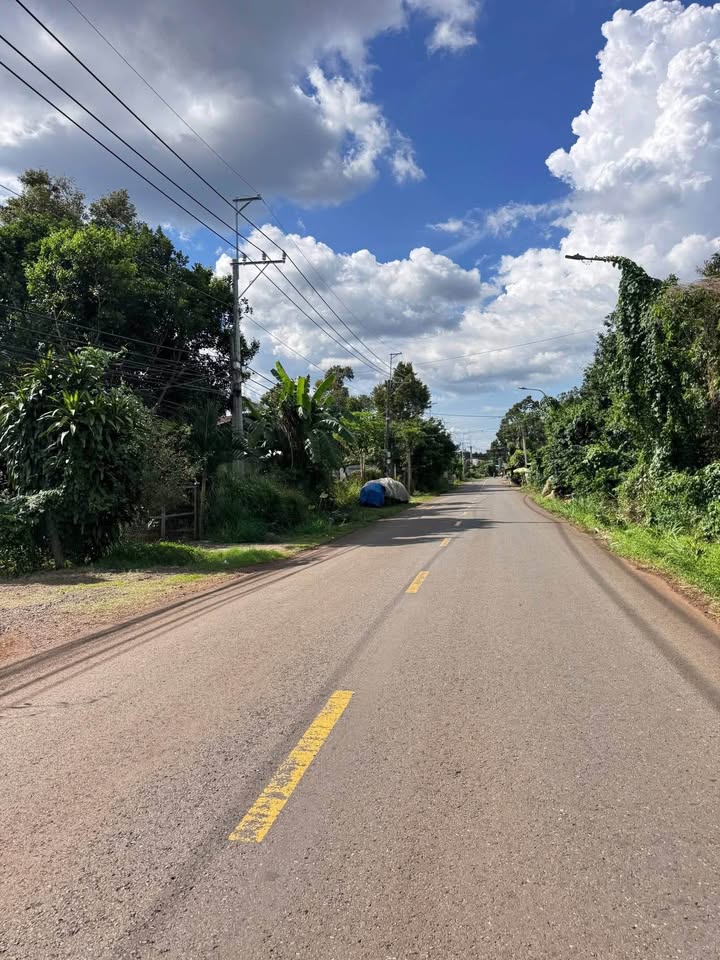 Đất nền Long Khánh 125m² giá 700 triệu - Đầu tư sinh lời ngay!