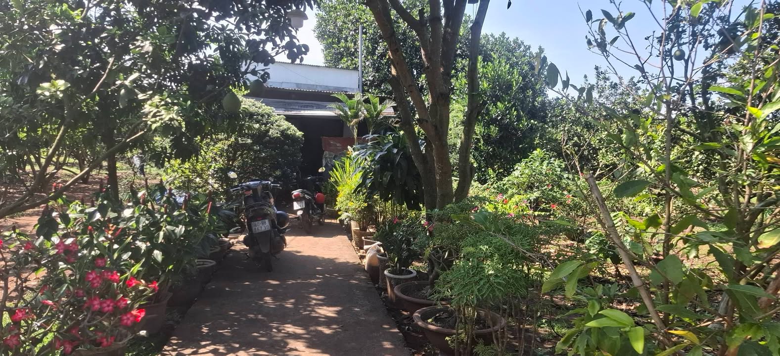 Đất vườn Trung Hòa, Trảng Bom 10.000m² giá 16.2 tỷ - Mặt tiền đường bê tông 62m