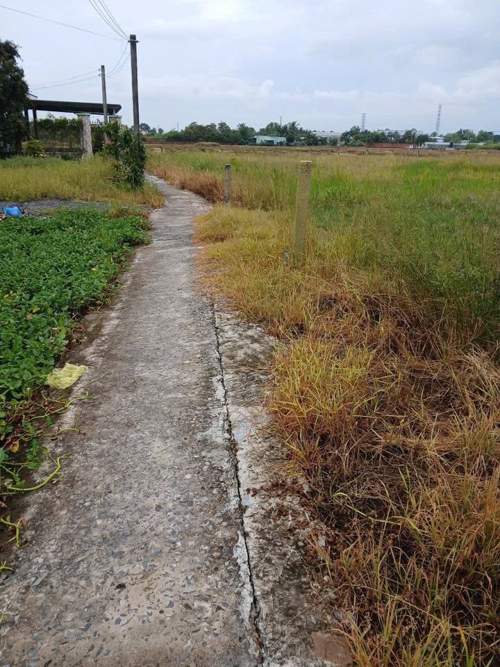 Đất nền thổ cư Tân Bửu 109m² giá 1 tỷ - Mặt tiền đường lớn, gần TP HCM!