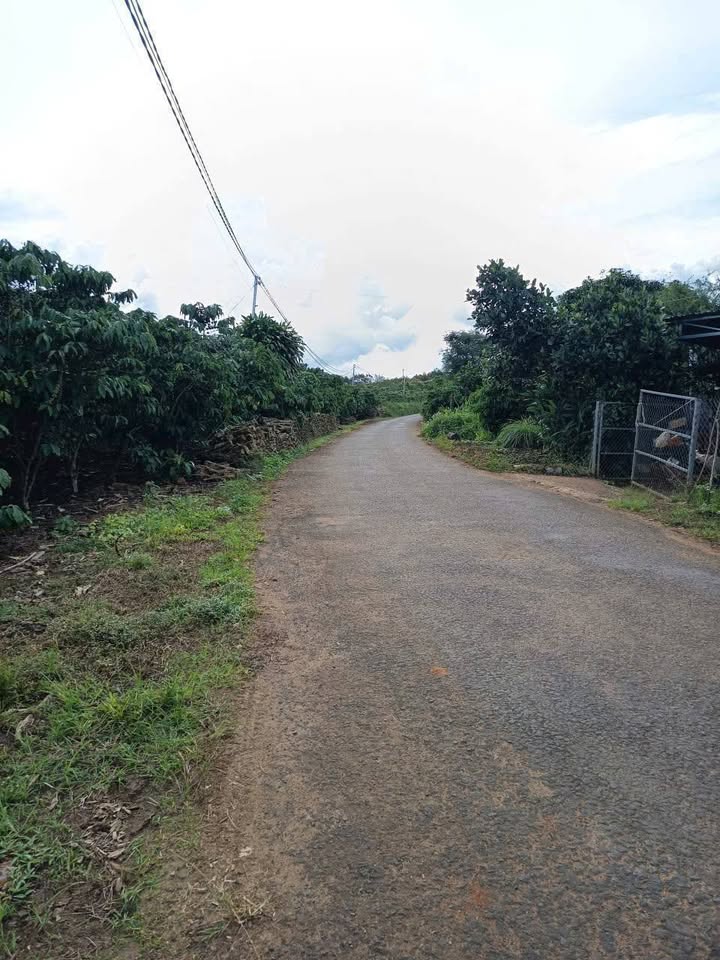 Đất nền Lộc Thanh Bảo Lộc 6000m² giá 550 triệu - Cơ hội đầu tư hấp dẫn!