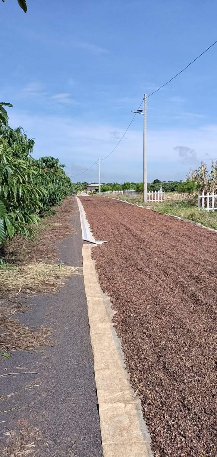 Đất nền Lộc Quảng, Bảo Lâm 340m² giá 1 tỷ - Vị trí đẹp, giao thông thuận lợi!