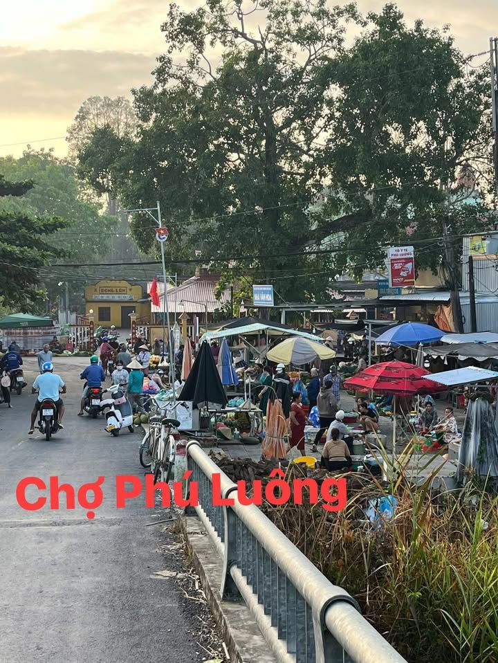 Đất nền Thới Long, Ô Môn, Cần Thơ 182m² - Đầu tư sinh lời hấp dẫn!