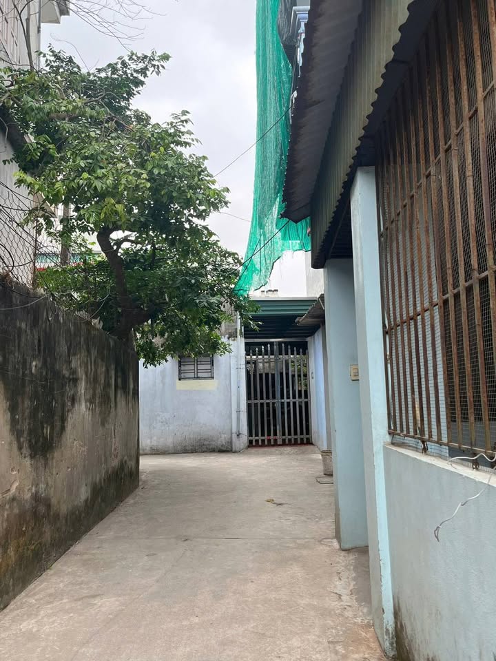 Nhà riêng Trần Lãm Thái Bình 35m² giá 1.5 tỷ - Chính chủ bán gấp!