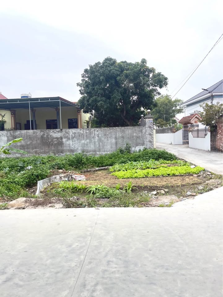 Đất Thụy Chính Thái Thụy 100m² giá 1.1 tỷ - Khu vực đông đúc, tiện ích đầy đủ!
