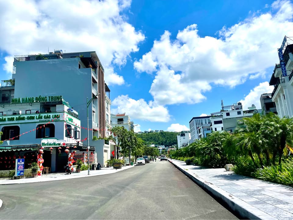 Đất nền Hồng Hải Hạ Long 100m² giá 10 tỷ - Vị trí đắc địa gần trường UK!