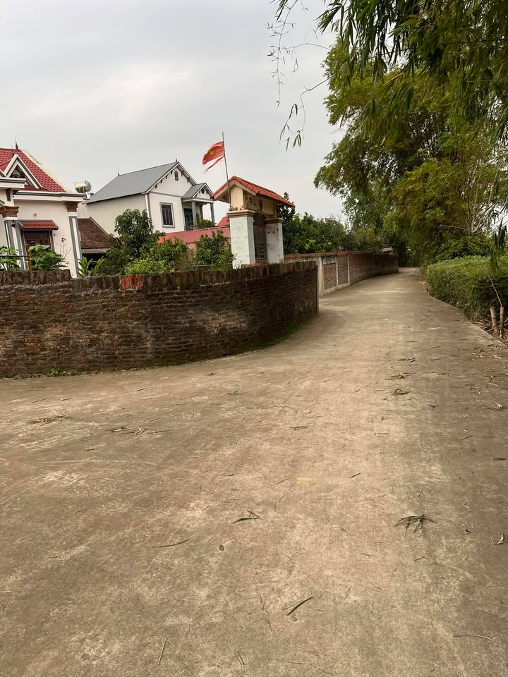 Đất nền 240m² xã Song Vân, Tân Yên, Bắc Giang - Đầu tư sinh lời lý tưởng!