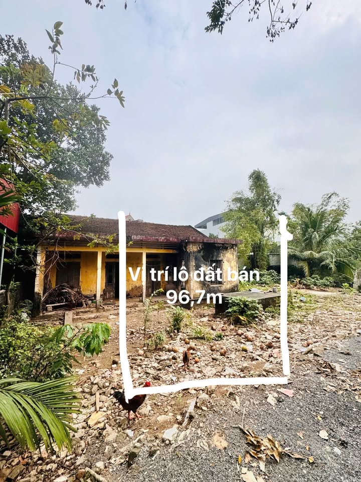 Đất nền Hương Sơn, Mỹ Đức 96,7m² - Nở hậu, ô tô vào tận nơi!