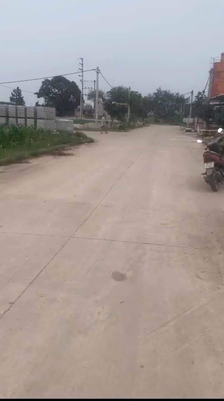 Đất phân lô Đình Tổ, Thuận Thành, Bắc Ninh 81m² giá chỉ 3 tỷ - Cơ hội đầu tư sinh lời!