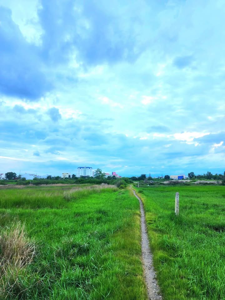 Đất nền Hàm Thắng, Hàm Thuận Bắc 2000m² chỉ 850 triệu - Cơ hội đầu tư hấp dẫn!