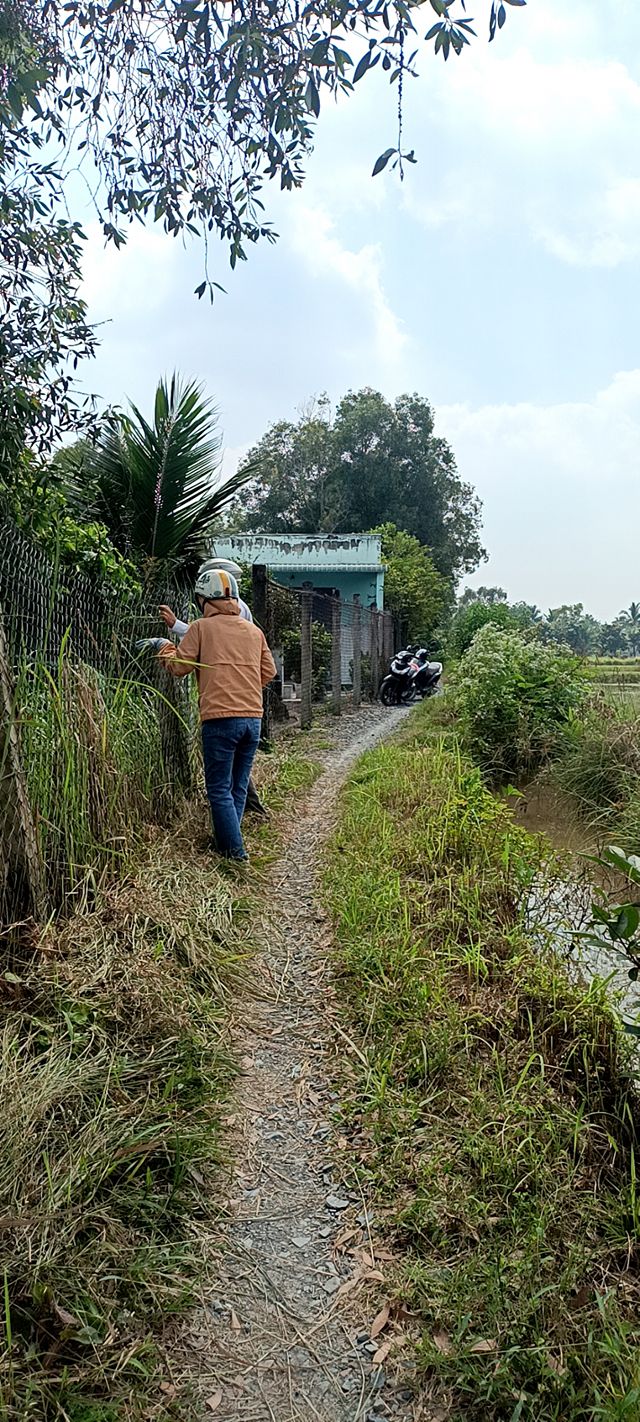 Đất thổ cư 162m² Nhựt Chánh, Bến Lức - Giá chỉ 600 triệu!