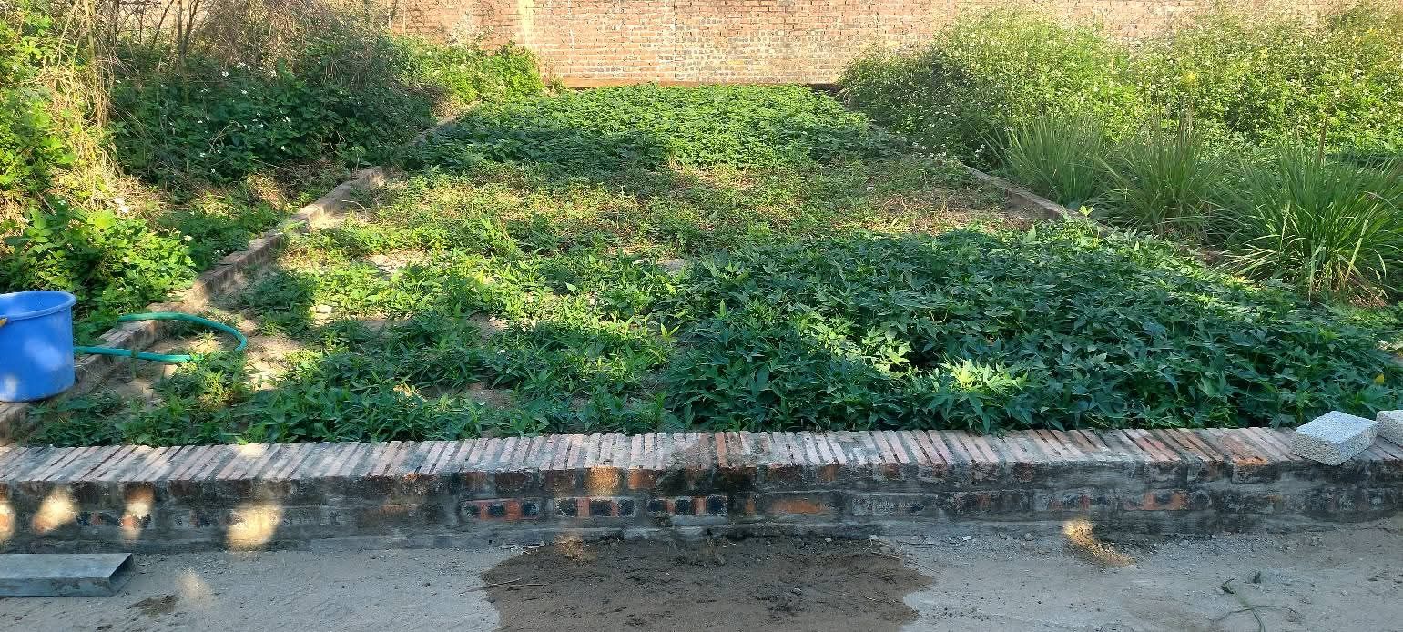 Đất Vân Nội Đông Anh 78m² giá 4.4 tỷ - Đầu tư sinh lời ngay!