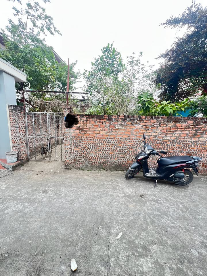 Đất nền Dương Xá, Gia Lâm 129m² giá 6.069 tỷ - Vị trí vàng cho nhà ở và đầu tư!