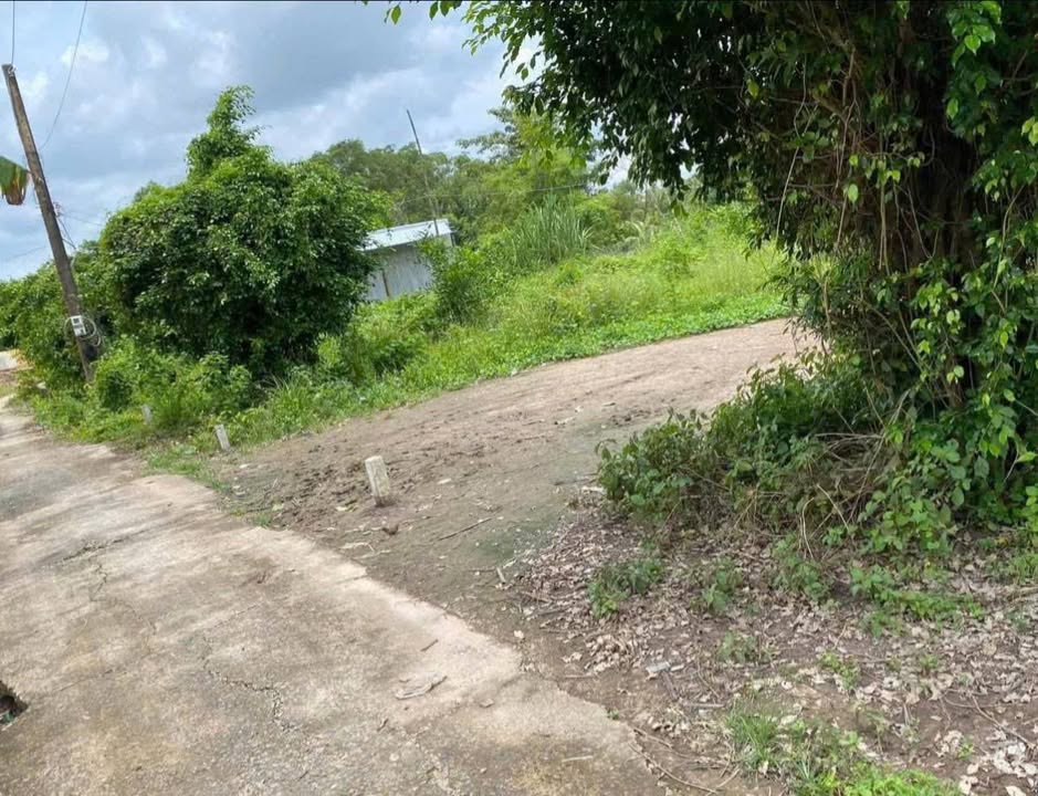 Đất nền Hòa Bình Bạc Liêu 196m² giá chỉ 250 triệu - Đầu tư sinh lời ngay!