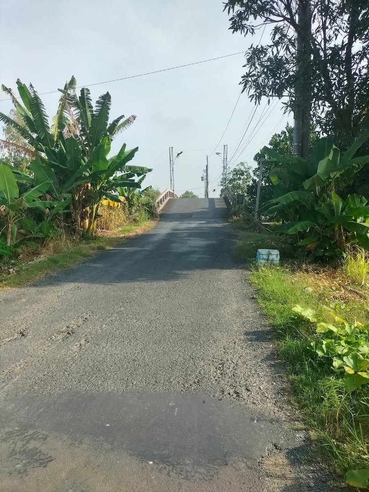 Bán đất tại xã Mỹ Phú Đông, huyện Thoại Sơn, An Giang - Diện tích lớn, giá tốt!