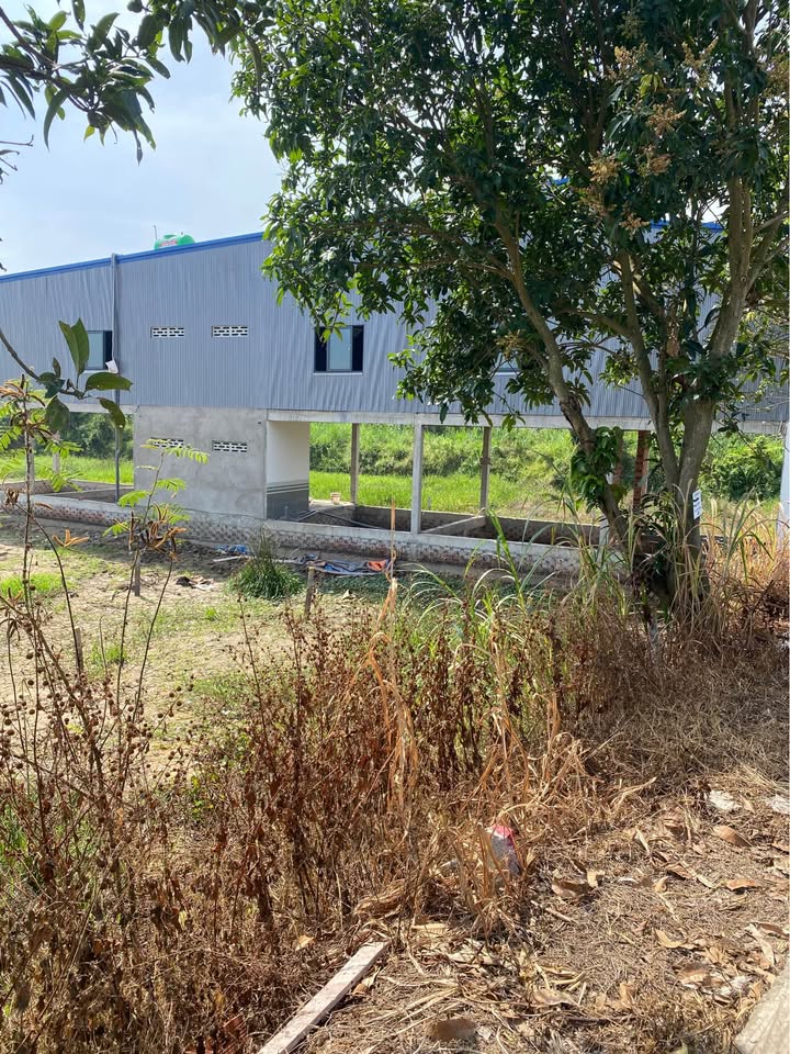 Đất nền mặt tiền đường Đan, Nhơn Mỹ, 140m² giá chỉ 360 triệu - Cơ hội đầu tư tuyệt vời!