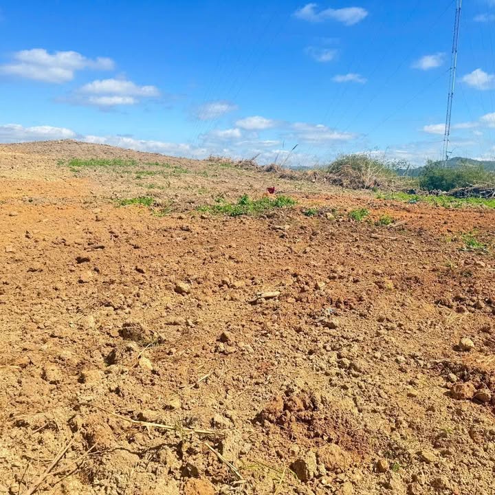 Đất 1 Héc ta tại xã Ea Hiao, giá 1.6 tỷ - Mặt đường bê tông thuận lợi!